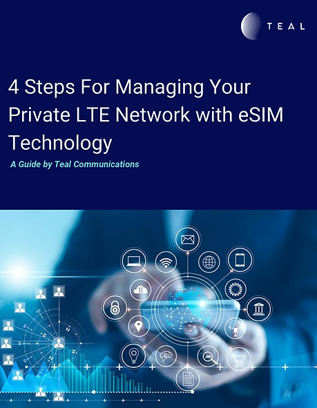White Paper: 4 Steps for Managing Your Private LTE Network with eSIM Technology